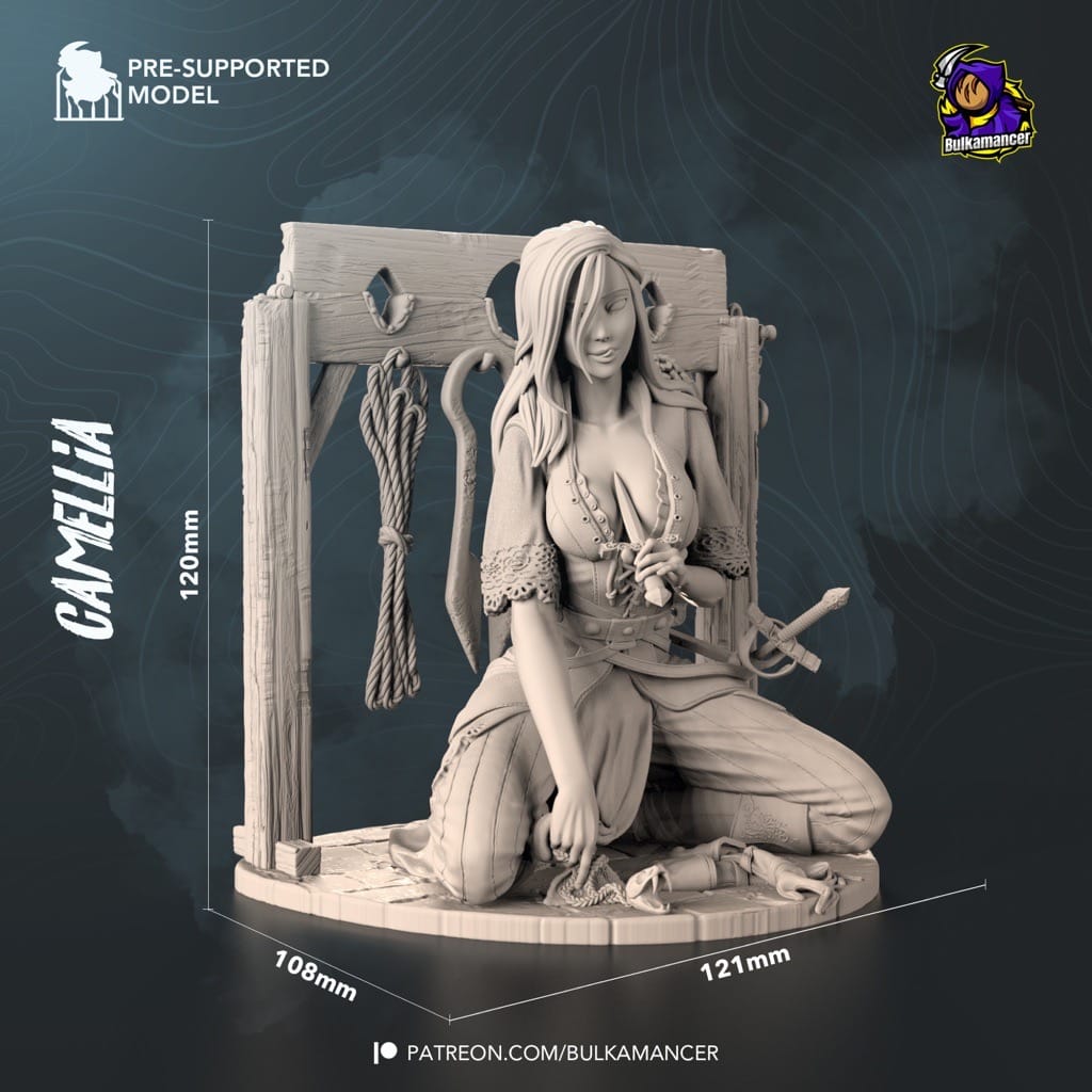 P站图纸印象馆 Bulkamancer 正义之怒 Camellia Bulkamancer 正义之怒 Camellia