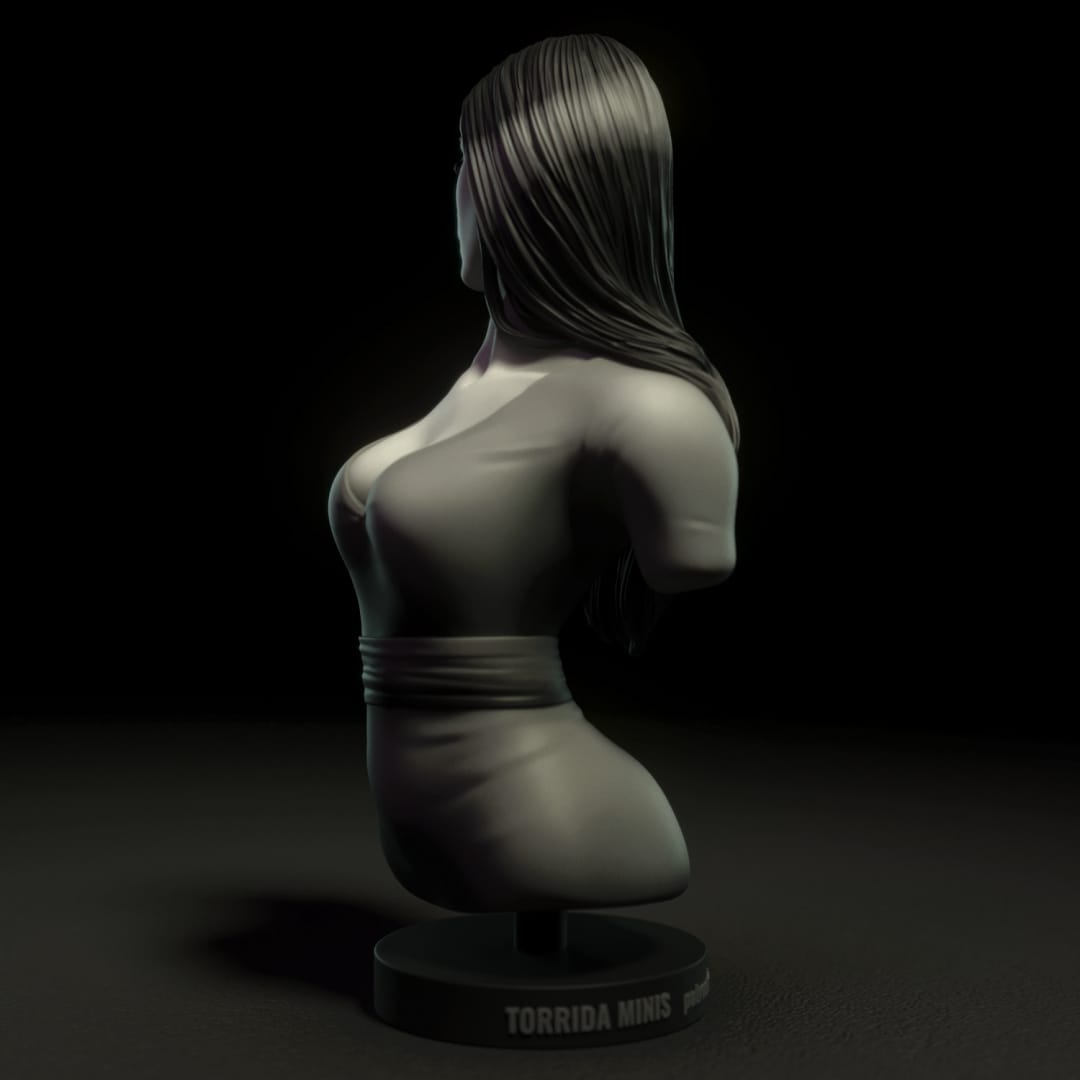 P站图纸印象馆 Torrida 长发女 Torrida 长发女