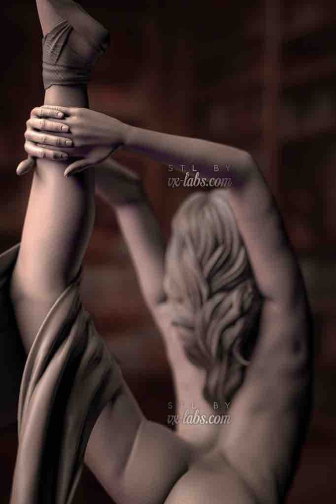 P站图纸印象馆 Vx-Labs 芭蕾舞者 Vx-Labs 芭蕾舞者