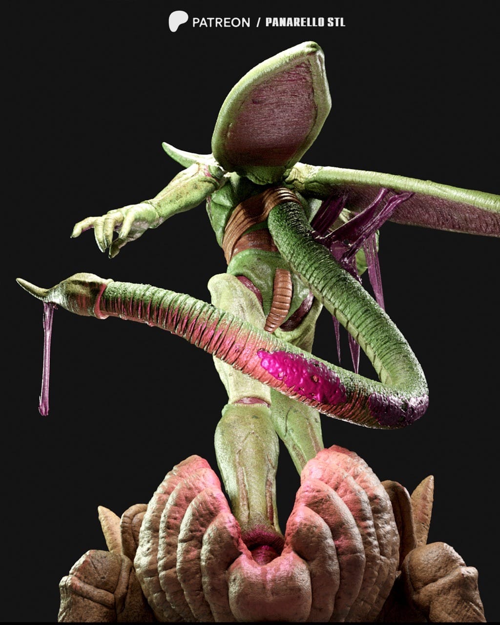 P站图纸印象馆 Panarello 龙珠 沙鲁 Panarello 龙珠 沙鲁