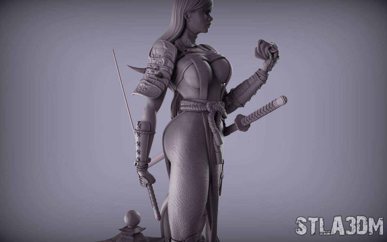 P站图纸印象馆 樱花女武士 樱花女武士