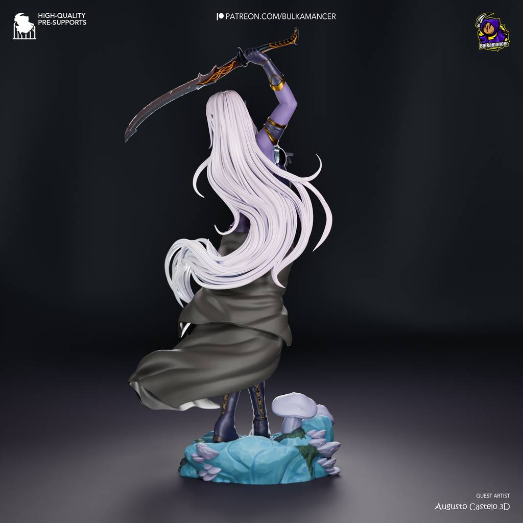 P站图纸印象馆 Bulkamancer 龙与地下城 伊莉丝翠 Bulkamancer 龙与地下城 伊莉丝翠