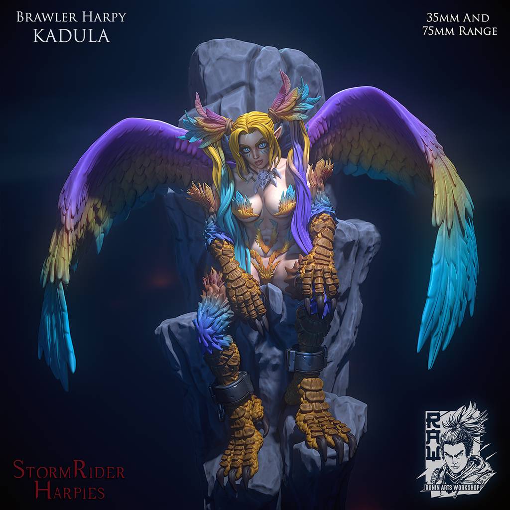 P站图纸印象馆 Ronin Arts 2024年9月图纸包 Ronin Arts 2024年9月图纸包