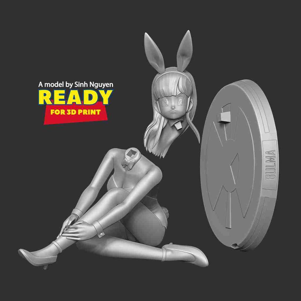 P站图纸印象馆 Sinh Nguyen 龙珠 布尔玛 Sinh Nguyen 龙珠 布尔玛