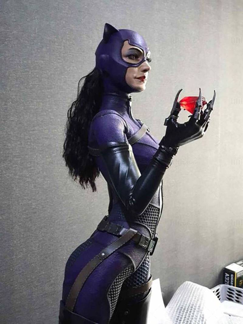 P站图纸印象馆 DC漫画 猫女 DC漫画 猫女