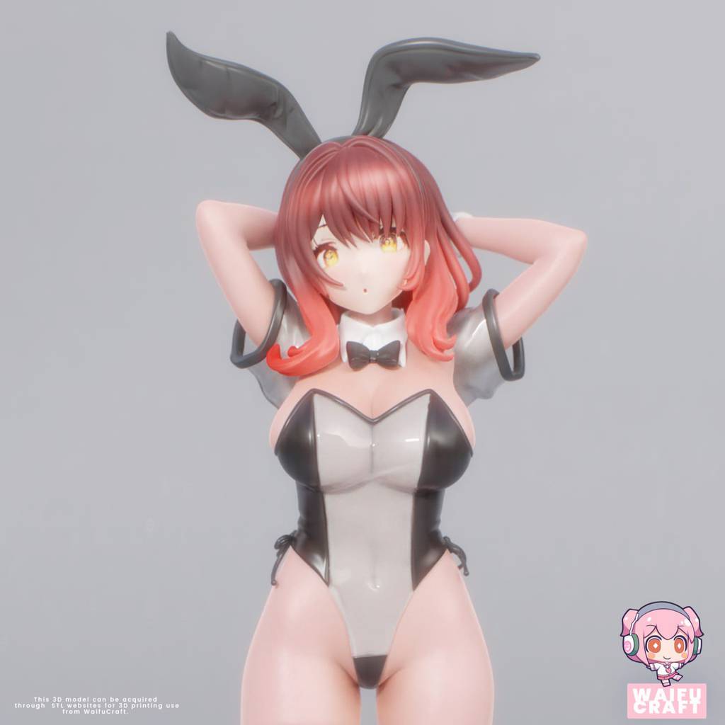 P站图纸印象馆 兔女郎 兔女郎