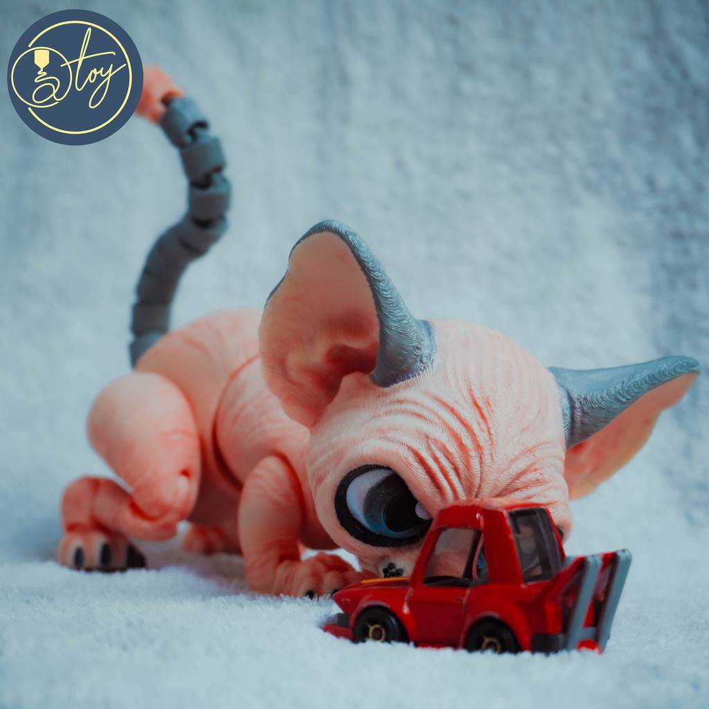 P站图纸印象馆 斯芬克斯猫 拉里 斯芬克斯猫 拉里