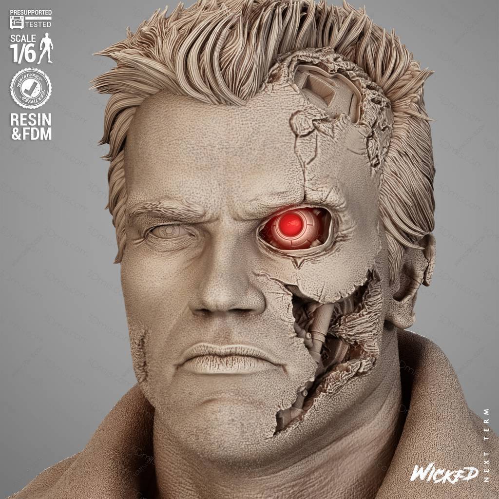 3DWicked 终结者