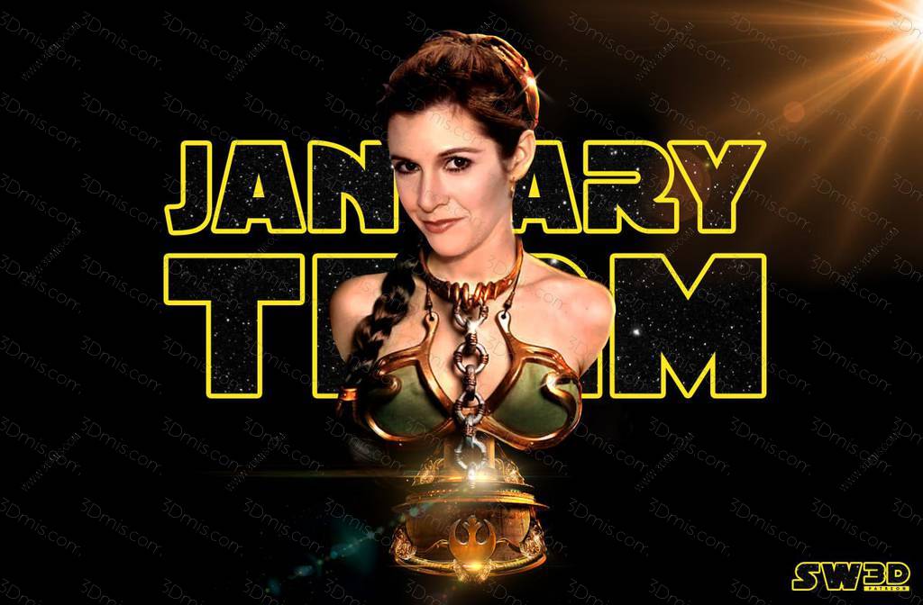 SW3D 星球大战 莱娅·奥加纳·索罗