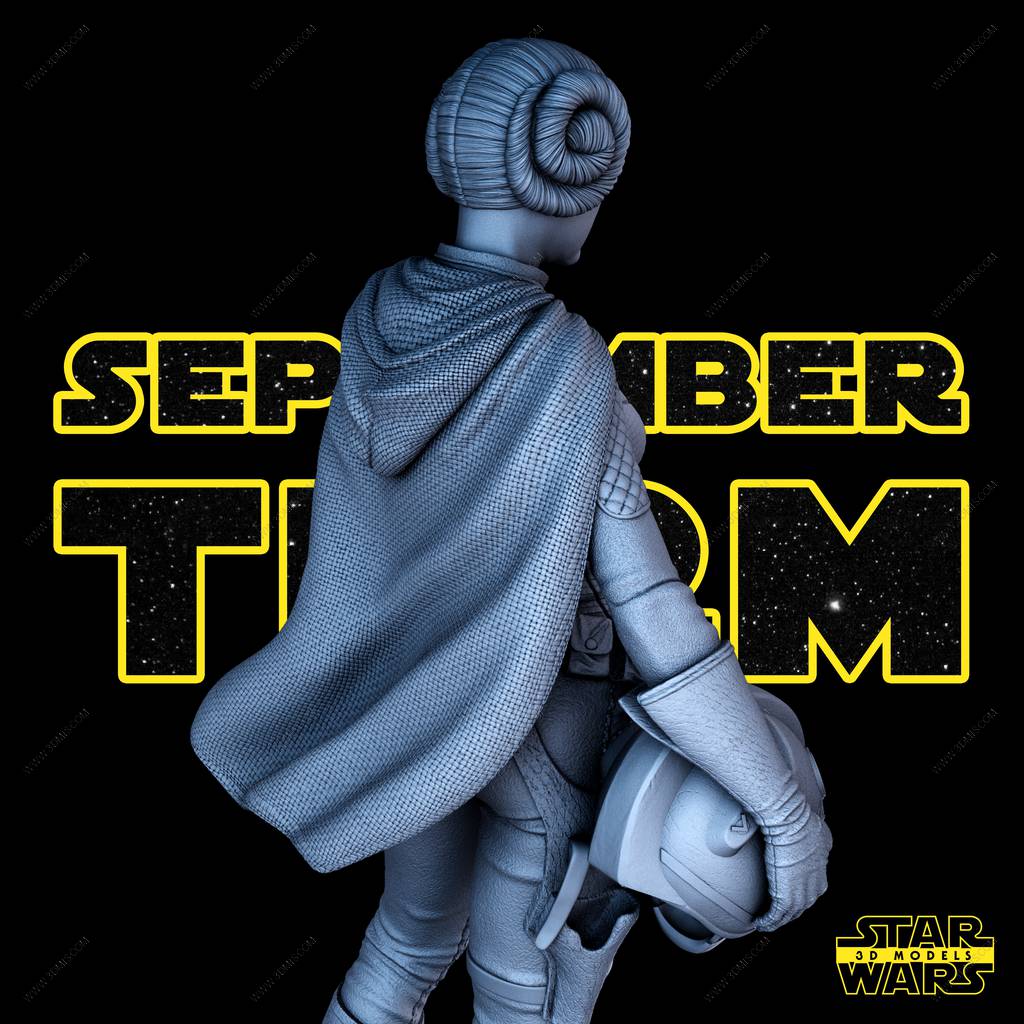 P站图纸印象馆 SW3D 星球大战 莱娅·奥加纳·索罗 SW3D 星球大战 莱娅·奥加纳·索罗