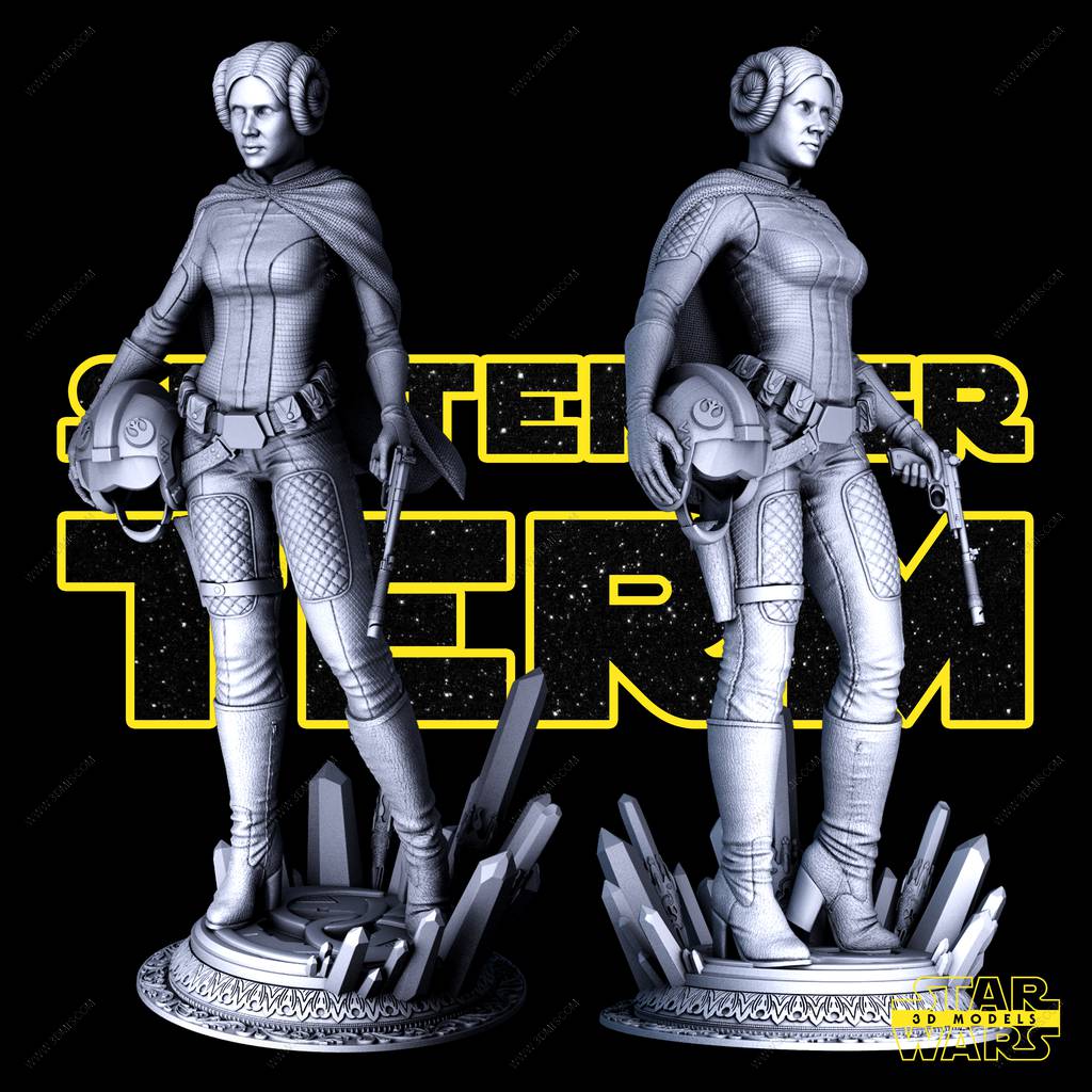 P站图纸印象馆 SW3D 星球大战 莱娅·奥加纳·索罗 SW3D 星球大战 莱娅·奥加纳·索罗