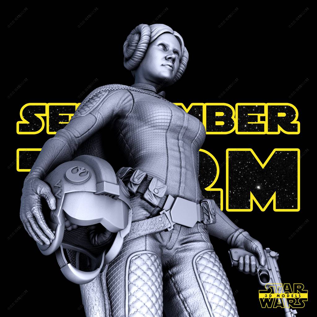 P站图纸印象馆 SW3D 星球大战 莱娅·奥加纳·索罗 SW3D 星球大战 莱娅·奥加纳·索罗