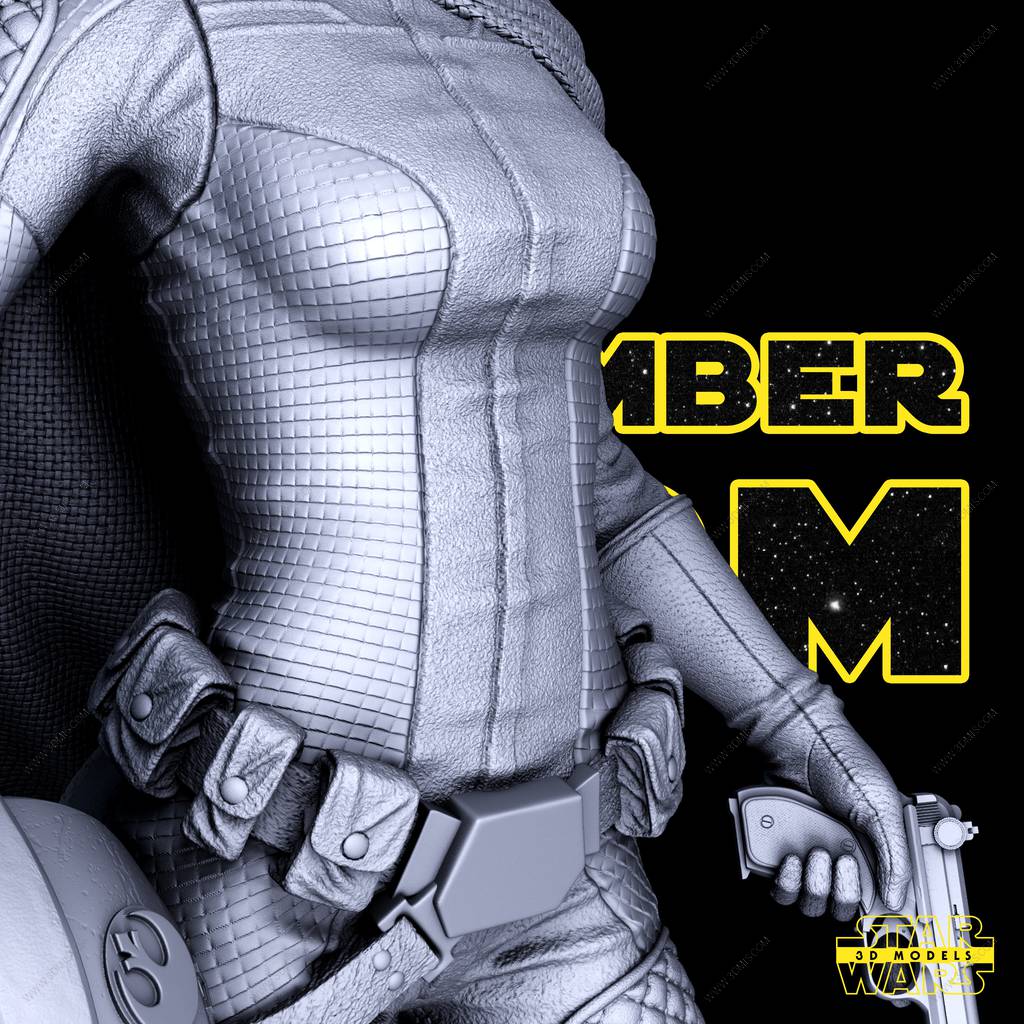 P站图纸印象馆 SW3D 星球大战 莱娅·奥加纳·索罗 SW3D 星球大战 莱娅·奥加纳·索罗