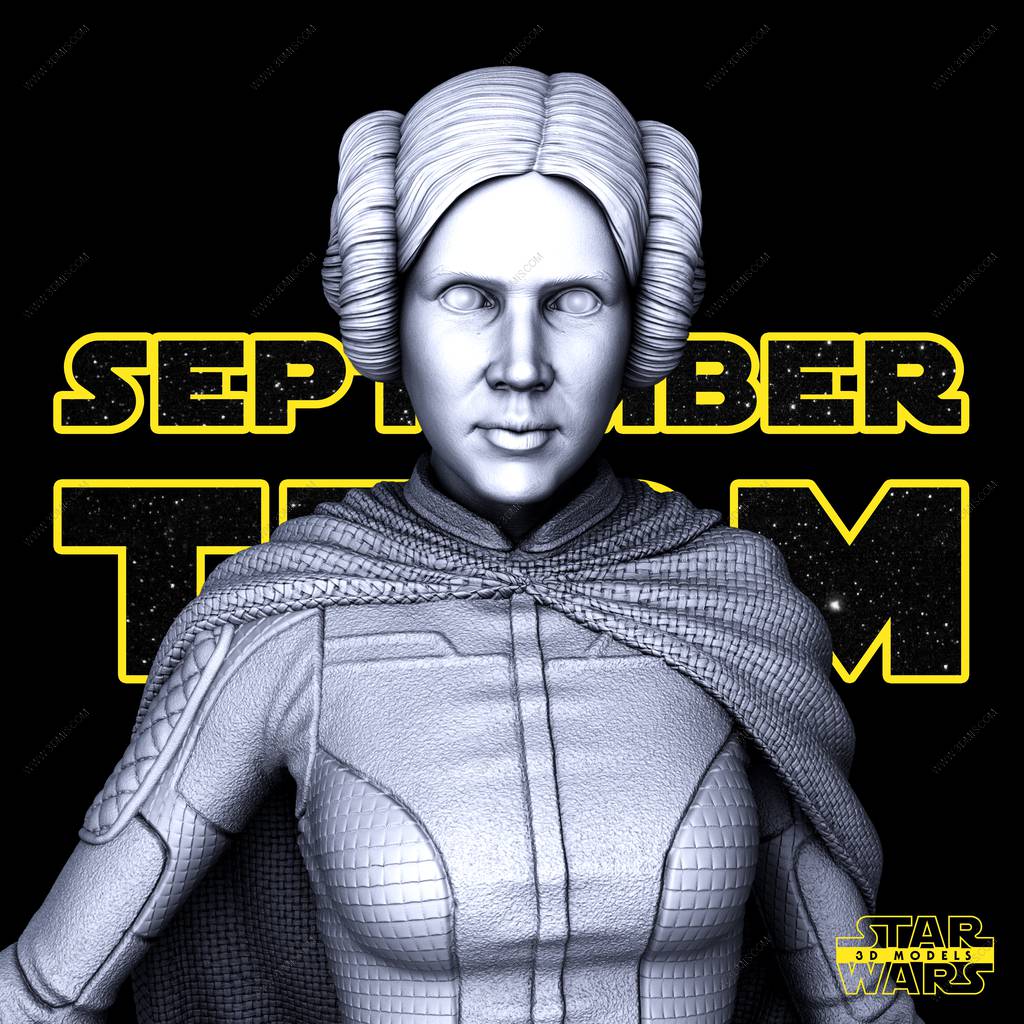 P站图纸印象馆 SW3D 星球大战 莱娅·奥加纳·索罗 SW3D 星球大战 莱娅·奥加纳·索罗