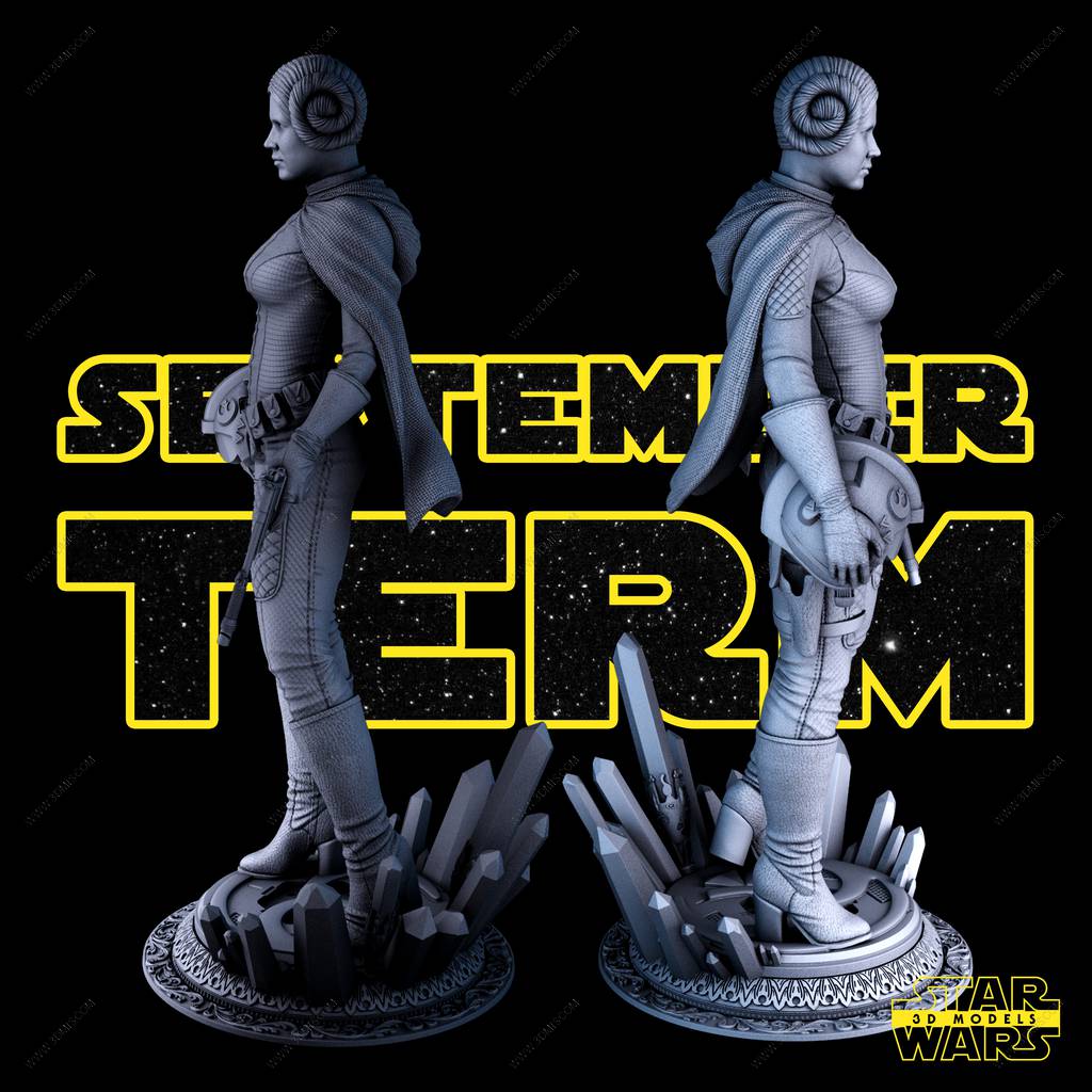 P站图纸印象馆 SW3D 星球大战 莱娅·奥加纳·索罗 SW3D 星球大战 莱娅·奥加纳·索罗