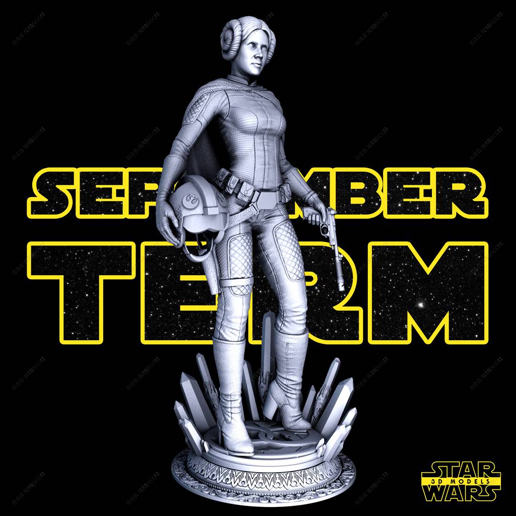 P站图纸印象馆 SW3D 星球大战 莱娅·奥加纳·索罗 SW3D 星球大战 莱娅·奥加纳·索罗