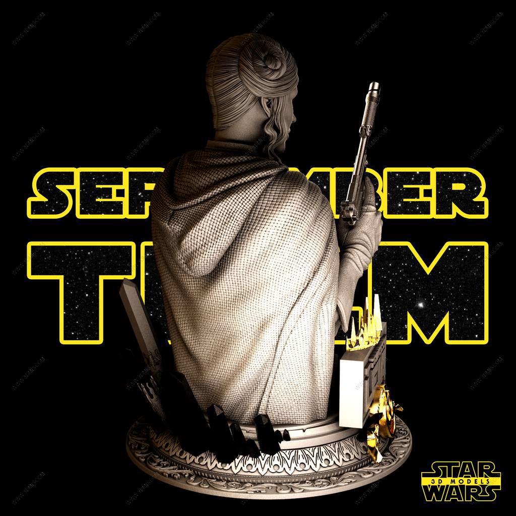 P站图纸印象馆 SW3D 星球大战 莱娅·奥加纳·索罗 SW3D 星球大战 莱娅·奥加纳·索罗