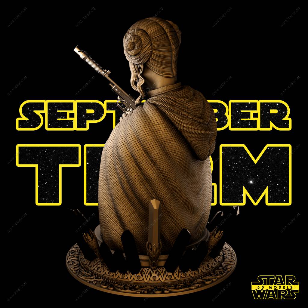 P站图纸印象馆 SW3D 星球大战 莱娅·奥加纳·索罗 SW3D 星球大战 莱娅·奥加纳·索罗