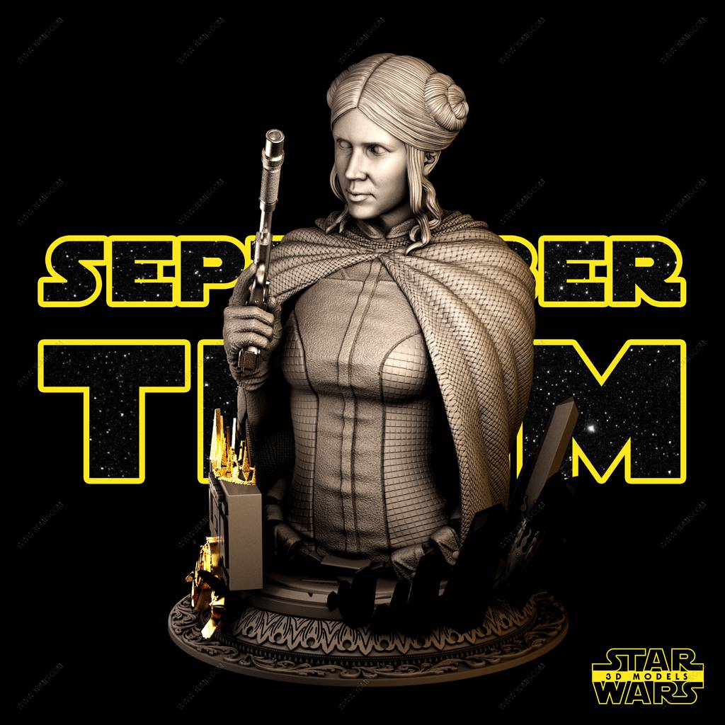 P站图纸印象馆 SW3D 星球大战 莱娅·奥加纳·索罗 SW3D 星球大战 莱娅·奥加纳·索罗