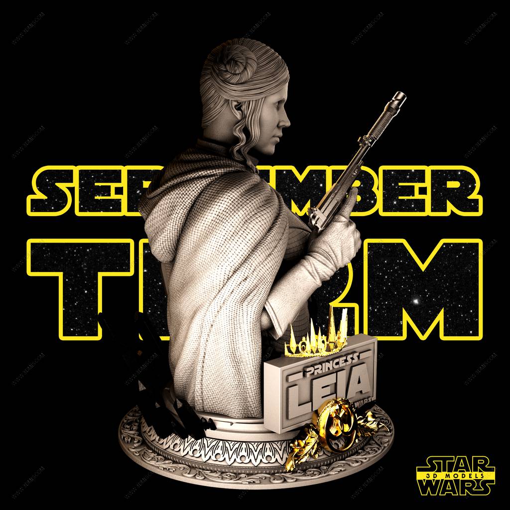 P站图纸印象馆 SW3D 星球大战 莱娅·奥加纳·索罗 SW3D 星球大战 莱娅·奥加纳·索罗