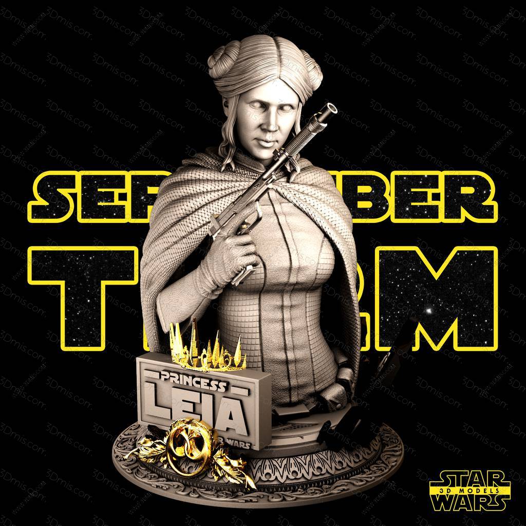 SW3D 星球大战 莱娅·奥加纳·索罗