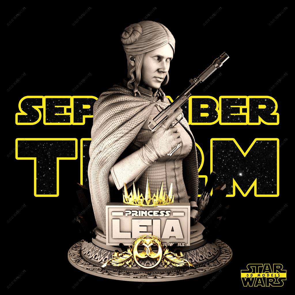 P站图纸印象馆 SW3D 星球大战 莱娅·奥加纳·索罗 SW3D 星球大战 莱娅·奥加纳·索罗