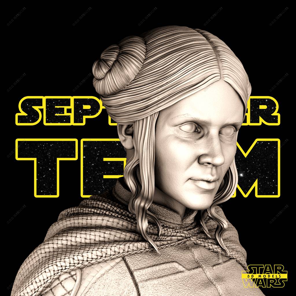 P站图纸印象馆 SW3D 星球大战 莱娅·奥加纳·索罗 SW3D 星球大战 莱娅·奥加纳·索罗