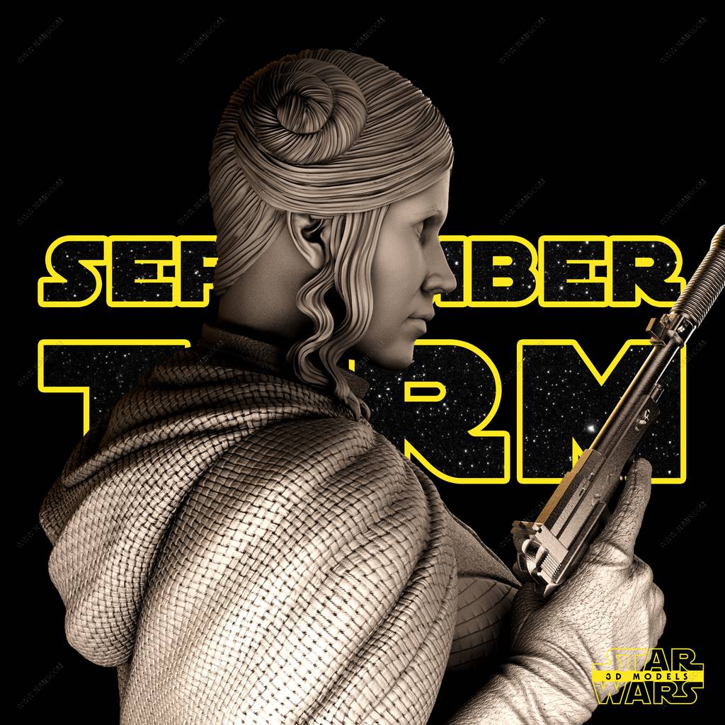 P站图纸印象馆 SW3D 星球大战 莱娅·奥加纳·索罗 SW3D 星球大战 莱娅·奥加纳·索罗