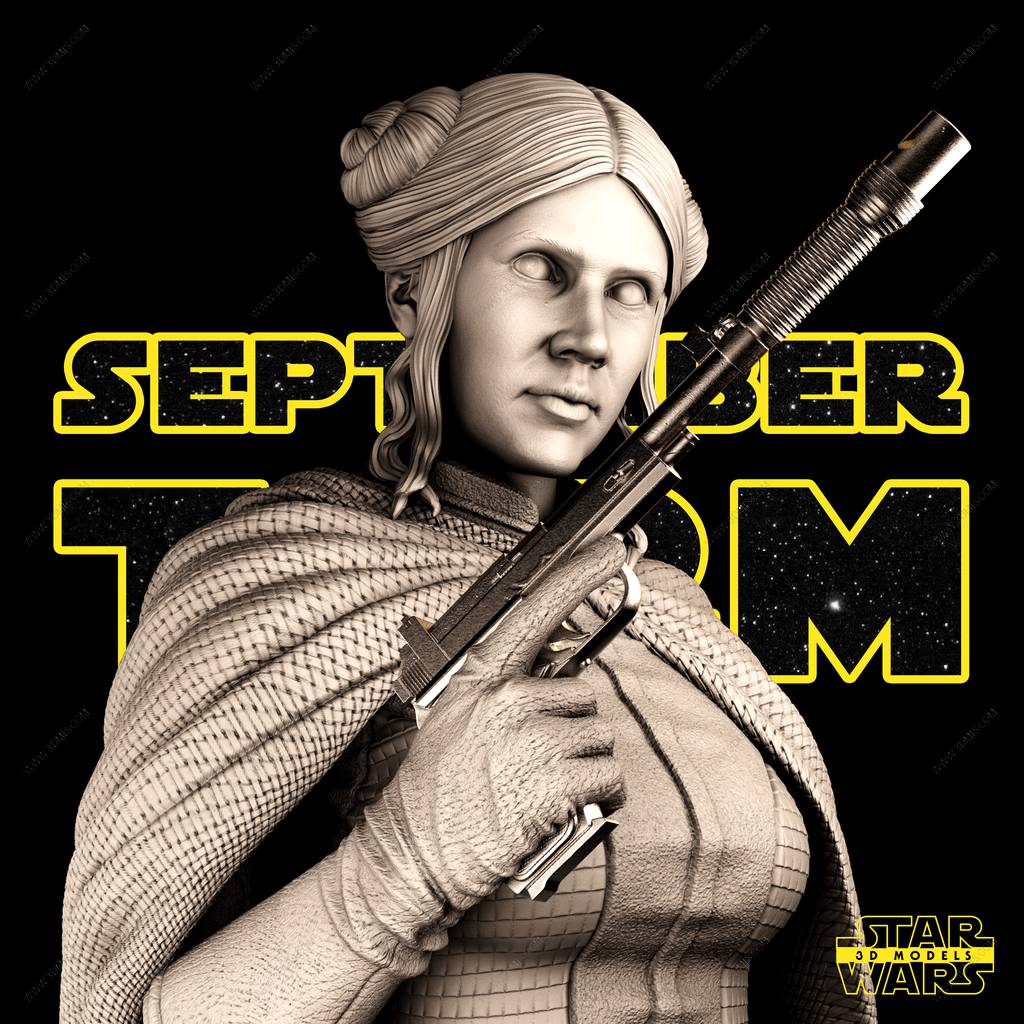 P站图纸印象馆 SW3D 星球大战 莱娅·奥加纳·索罗 SW3D 星球大战 莱娅·奥加纳·索罗