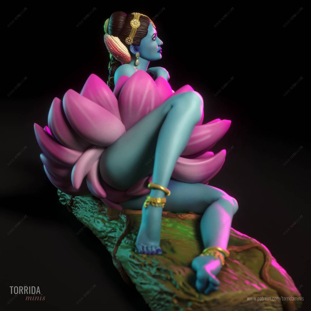 P站图纸印象馆 Torrida 芙罗拉 Torrida 芙罗拉