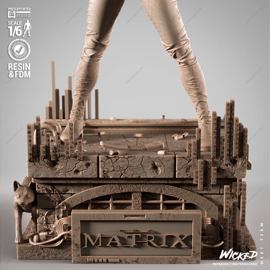 P站图纸印象馆 3DWicked 骇客帝国 崔妮蒂 3DWicked 骇客帝国 崔妮蒂