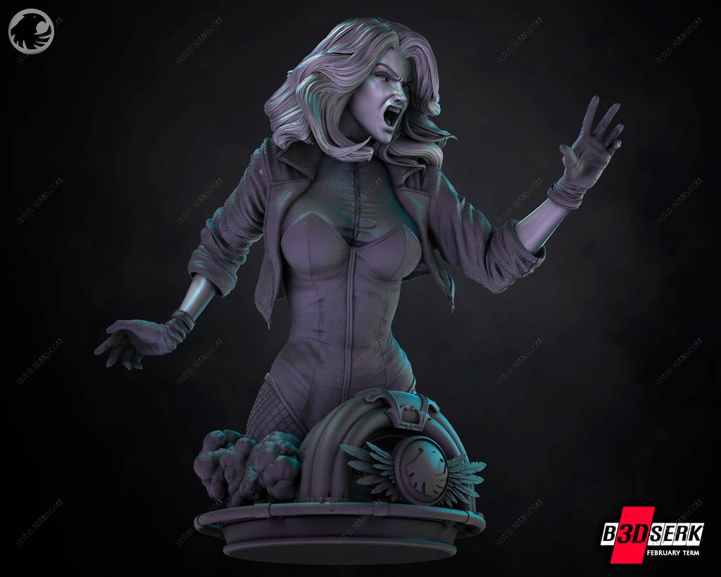 P站图纸印象馆 B3DSERK DC漫画 黑金丝雀 B3DSERK DC漫画 黑金丝雀