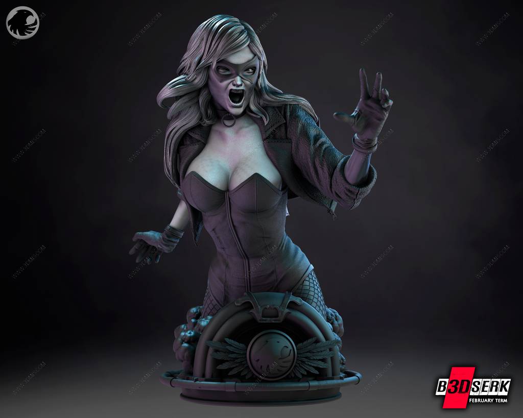 P站图纸印象馆 B3DSERK DC漫画 黑金丝雀 B3DSERK DC漫画 黑金丝雀