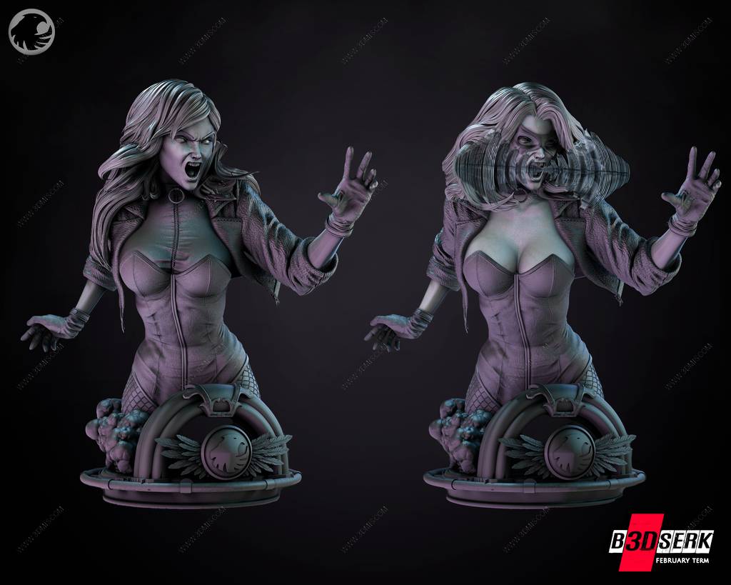 P站图纸印象馆 B3DSERK DC漫画 黑金丝雀 B3DSERK DC漫画 黑金丝雀