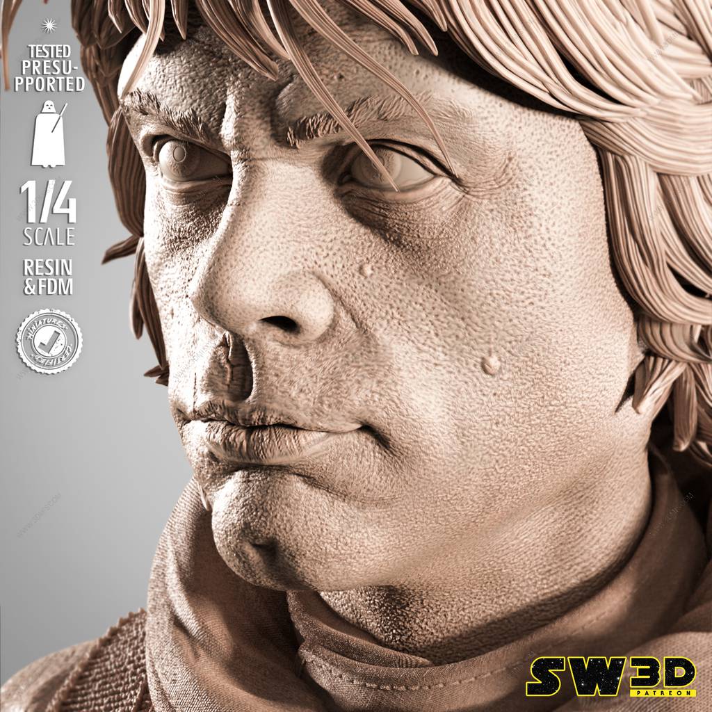 P站图纸印象馆 SW3D 曼达洛人 卢克 SW3D 曼达洛人 卢克