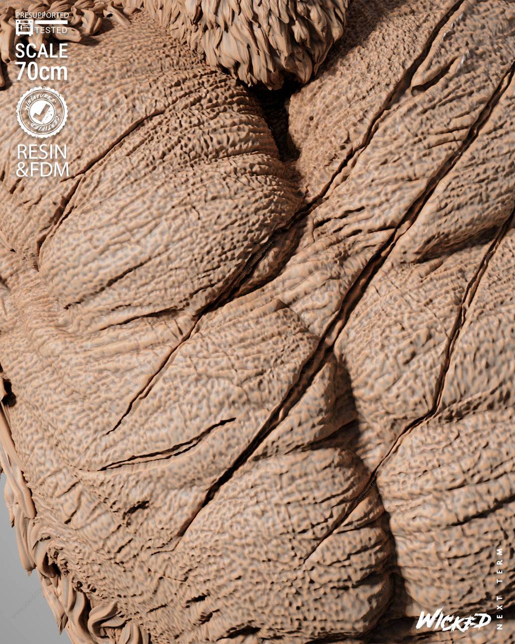 P站图纸印象馆 3DWicked 哥斯拉大战金刚 金刚 3DWicked 哥斯拉大战金刚 金刚