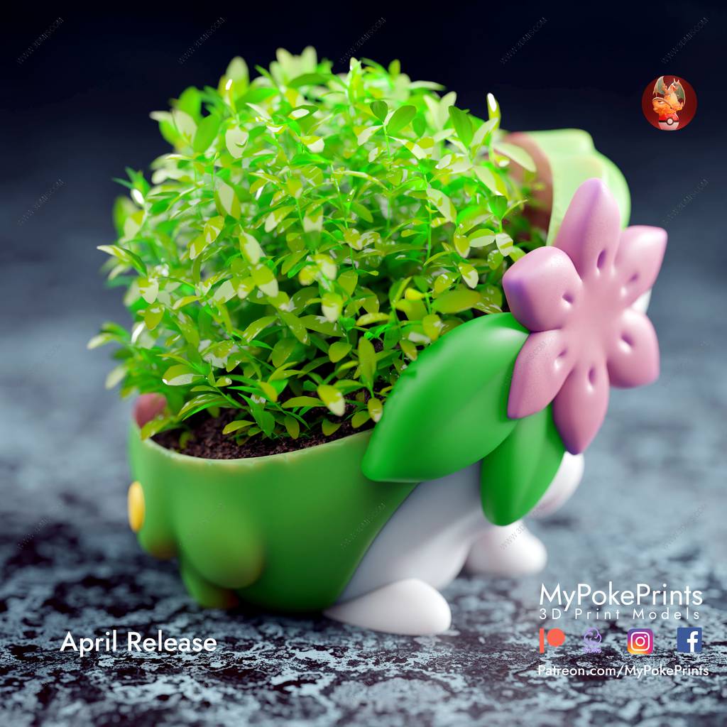 P站图纸印象馆 口袋妖怪 雪瑞妮 口袋妖怪 雪瑞妮