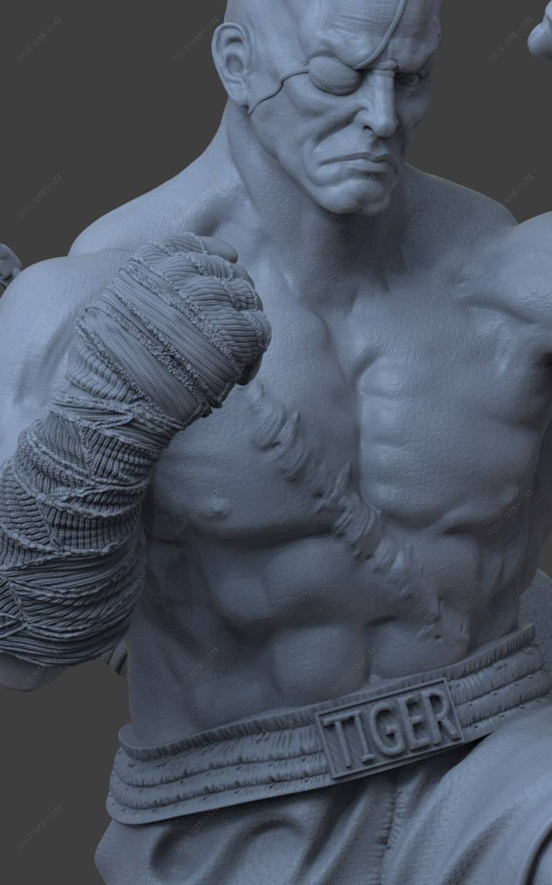 P站图纸印象馆 街头霸王 沙加特 街头霸王 沙加特