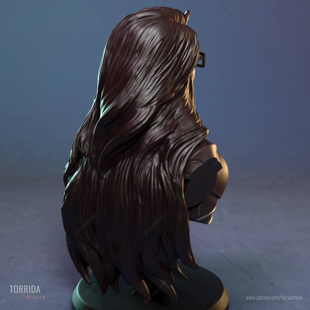 P站图纸印象馆 Torrida 特种部队 男爵夫人 Torrida 特种部队 男爵夫人