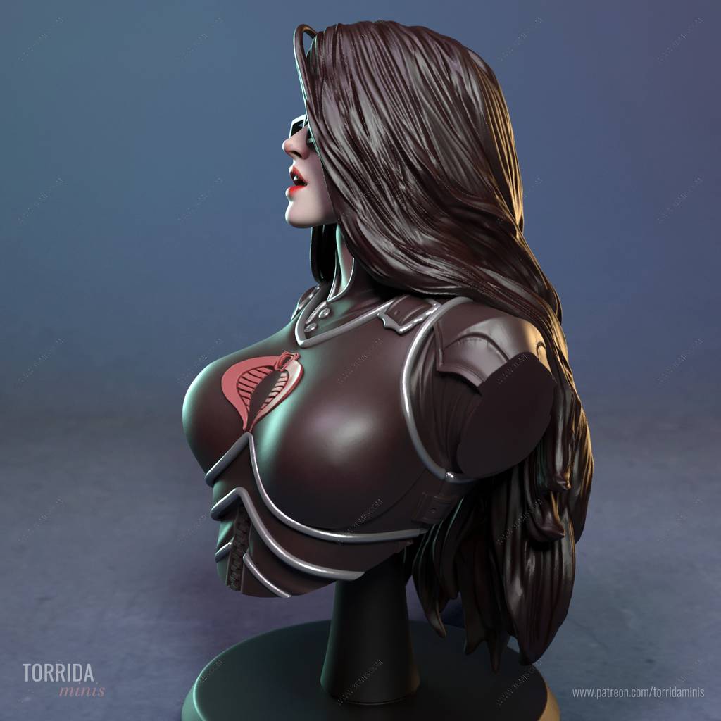 P站图纸印象馆 Torrida 特种部队 男爵夫人 Torrida 特种部队 男爵夫人