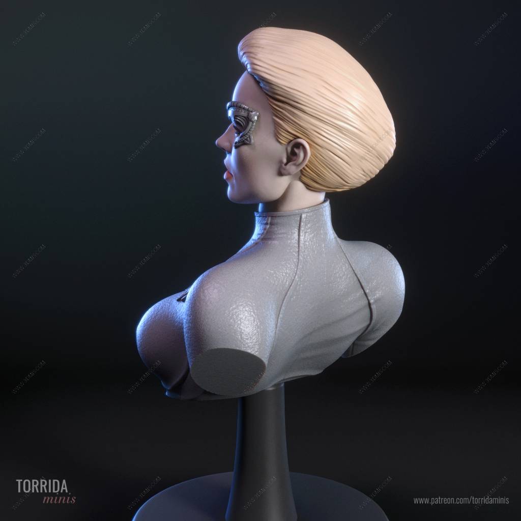 P站图纸印象馆 Torrida 星际迷航 九之七 Torrida 星际迷航 九之七