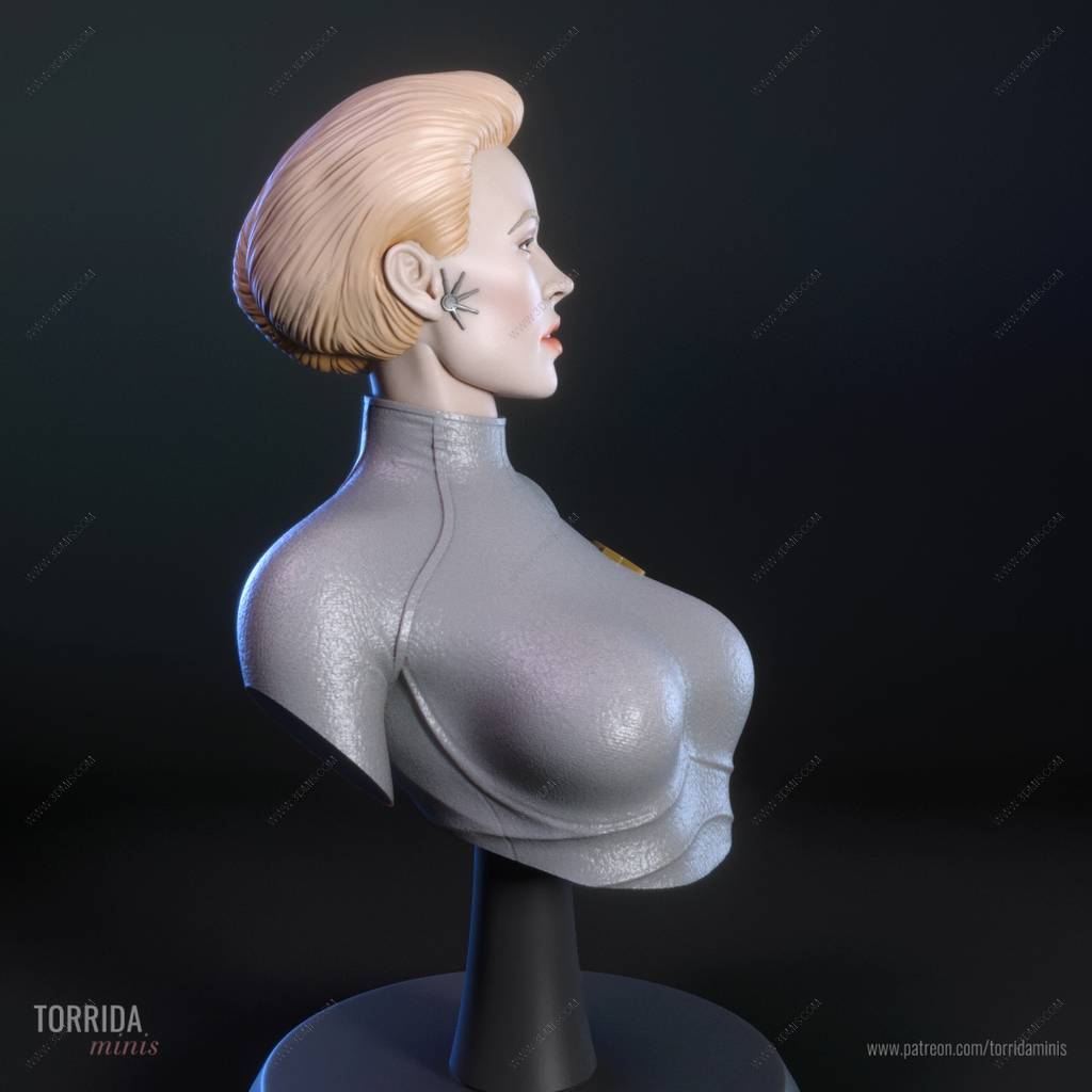 P站图纸印象馆 Torrida 星际迷航 九之七 Torrida 星际迷航 九之七