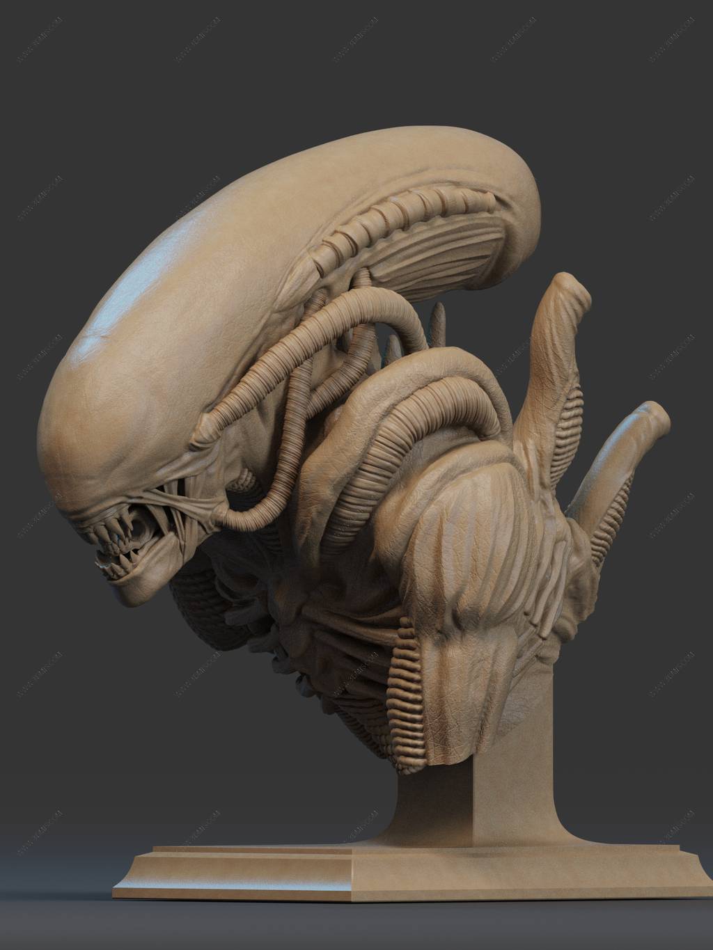 P站图纸印象馆 CA3D 2025年12月半身像合集 CA3D 2025年12月半身像合集