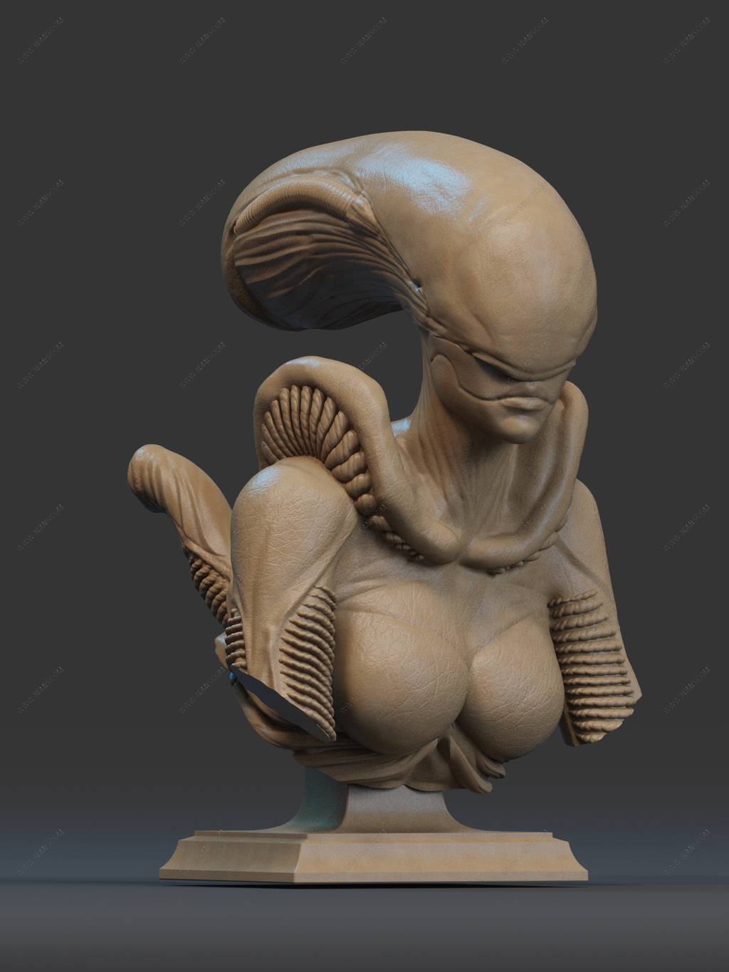 P站图纸印象馆 CA3D 2025年12月半身像合集 CA3D 2025年12月半身像合集