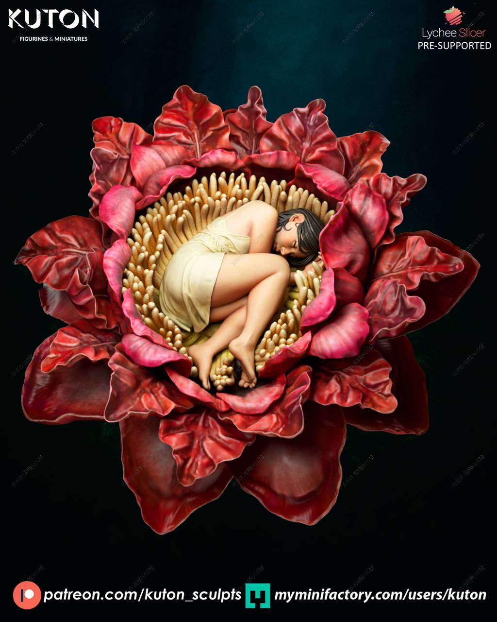 P站图纸印象馆 KUTON 希姆莱 KUTON 希姆莱