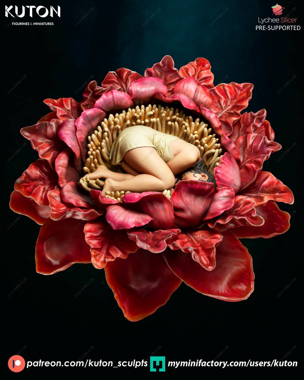 P站图纸印象馆 KUTON 希姆莱 KUTON 希姆莱