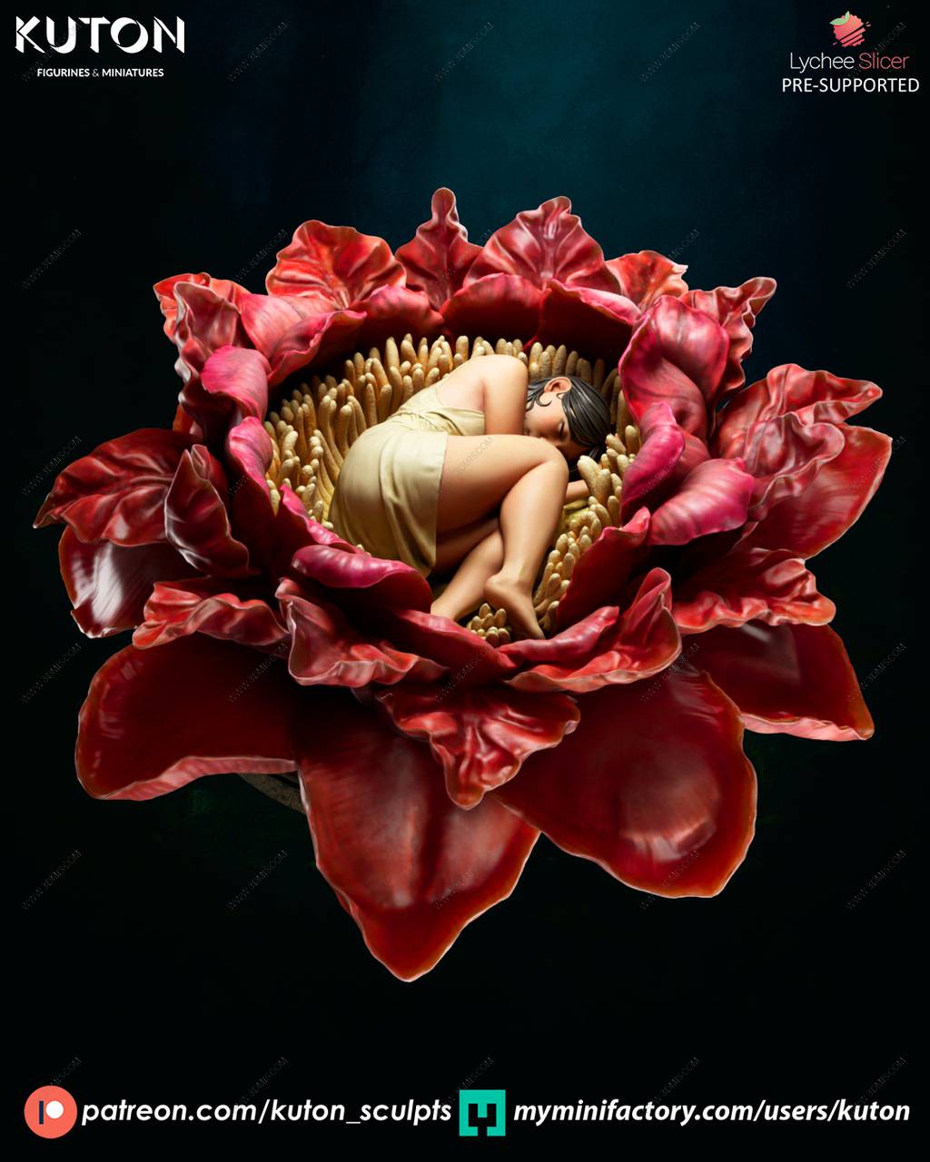 P站图纸印象馆 KUTON 希姆莱 KUTON 希姆莱