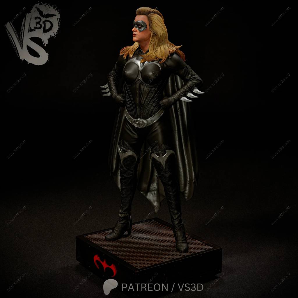 P站图纸印象馆 VS3D DC漫画 蝙蝠侠与罗宾 蝙蝠少女 VS3D DC漫画 蝙蝠侠与罗宾 蝙蝠少女