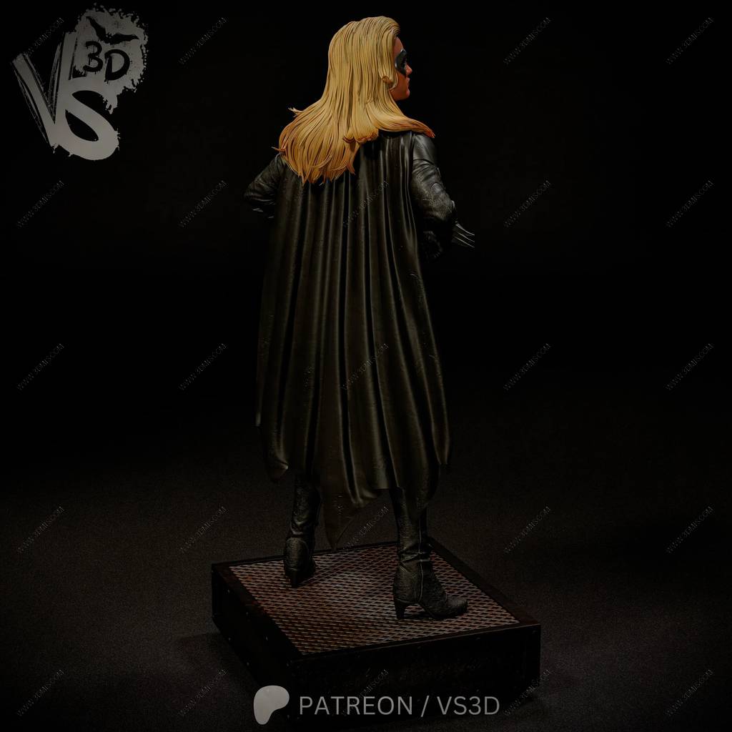 P站图纸印象馆 VS3D DC漫画 蝙蝠侠与罗宾 蝙蝠少女 VS3D DC漫画 蝙蝠侠与罗宾 蝙蝠少女