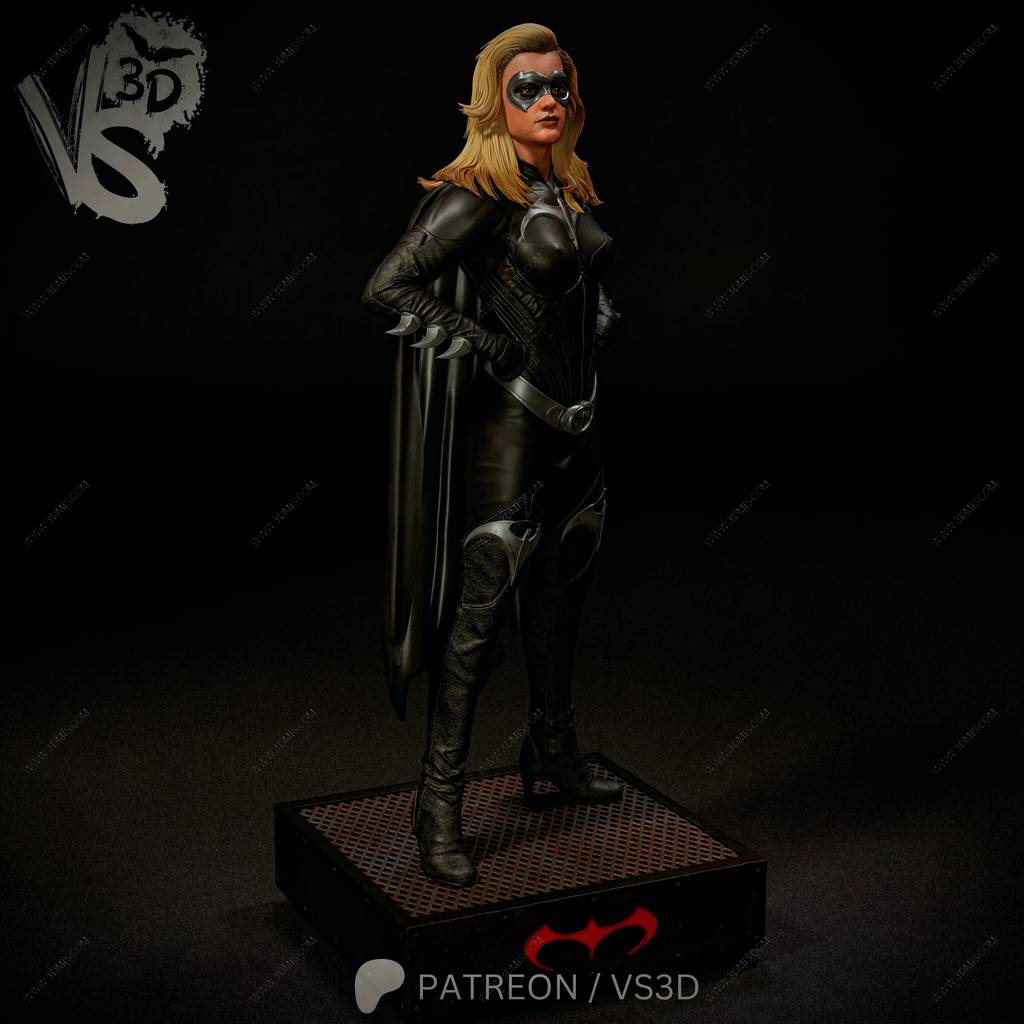 P站图纸印象馆 VS3D DC漫画 蝙蝠侠与罗宾 蝙蝠少女 VS3D DC漫画 蝙蝠侠与罗宾 蝙蝠少女